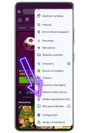 Para añadir Malina casino App pulsa añadir a inicio