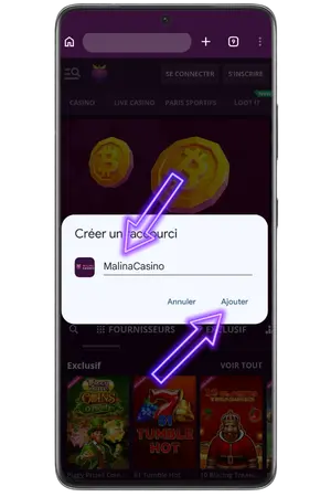 Confirmez le nom du casino pour ajouter la Malina casino App