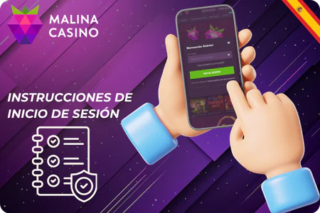 Guía paso a paso inicio sesión