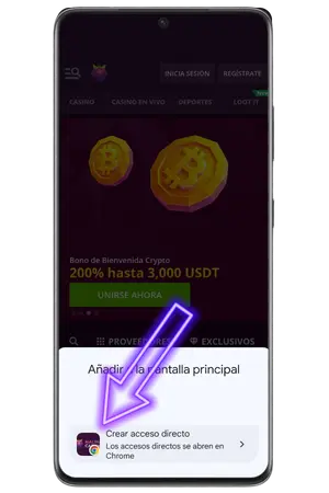 Para añadir Malina casino App, pulsa de nuevo añadir a inicio